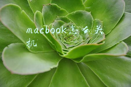macbook怎么关机