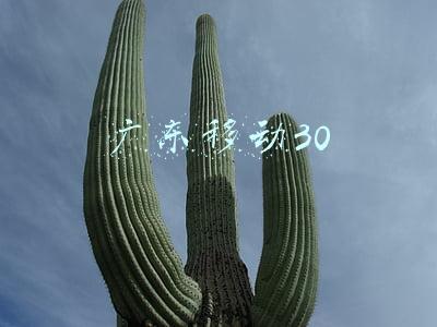 广东移动30