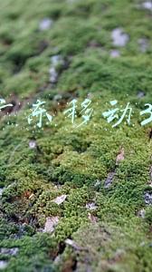 广东移动30