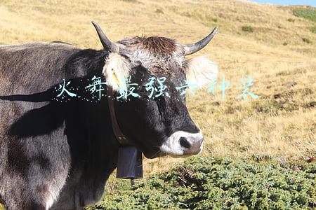火舞最强六神装