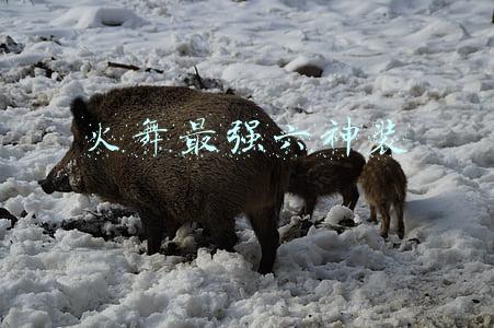 火舞最强六神装