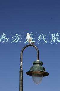 新东方在线股价