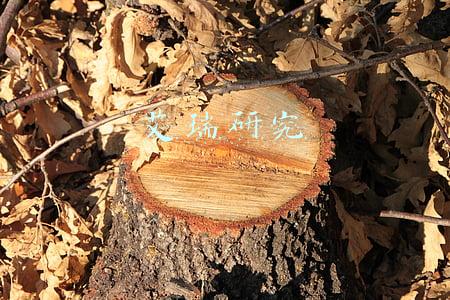 艾瑞研究