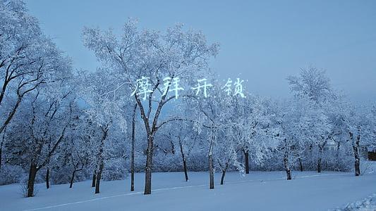 摩拜开锁