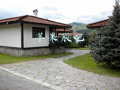 苹果股吧