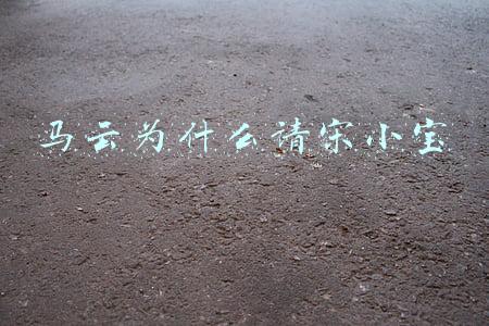 马云为什么请宋小宝
