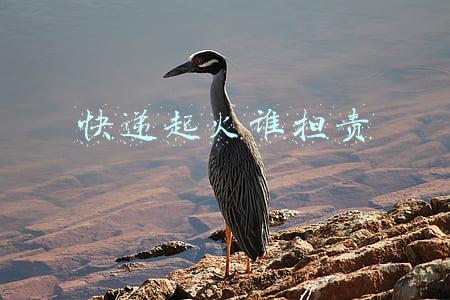 快递起火谁担责