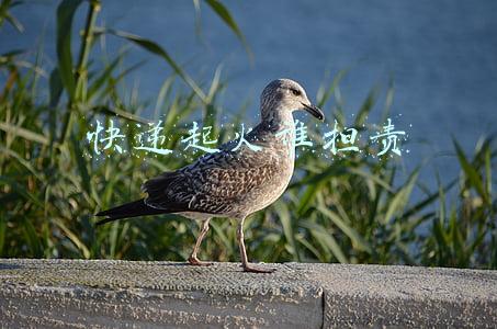 快递起火谁担责