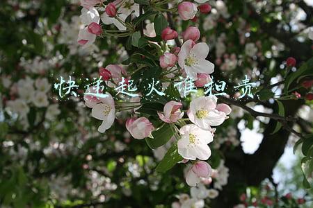 快递起火谁担责