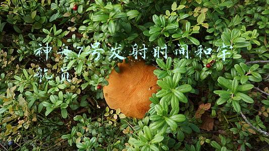 神舟7号发射时间和宇航员