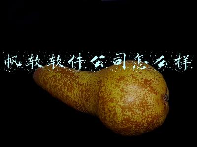 帆软软件公司怎么样