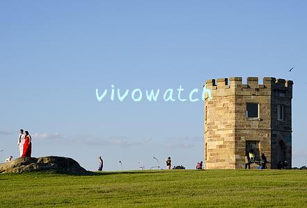 vivowatch