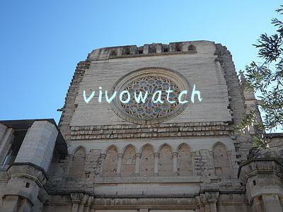 vivowatch