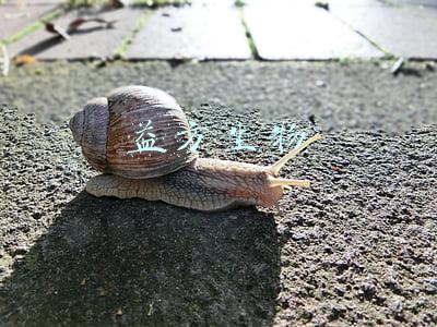益方生物