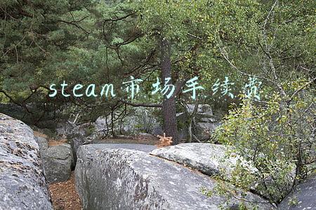 steam市场手续费