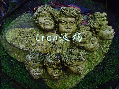 tron波场
