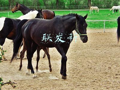 联发科