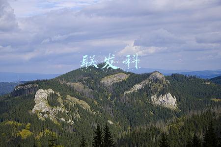 联发科