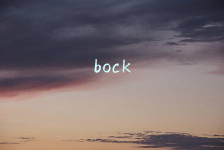 hockey(Hockey 是曲棍球，还是冰球？)