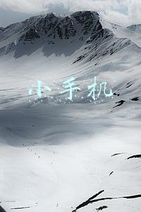小手机