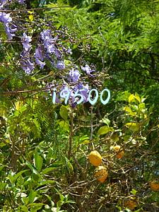 i9500
