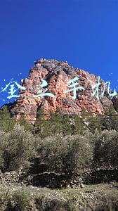 金立手机现在还生产吗(金立官网恢复但全产品下架，或转让手机业务)