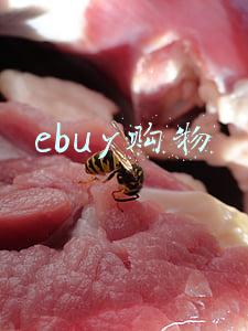ebuy购物