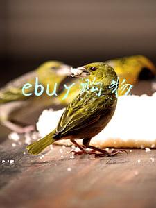 ebuy购物
