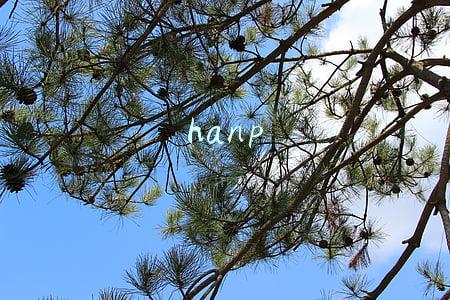 hanp