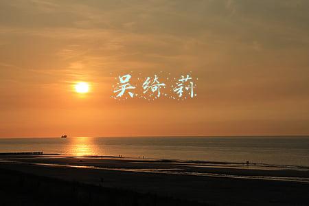 吴绮莉