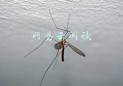 网易云阅读