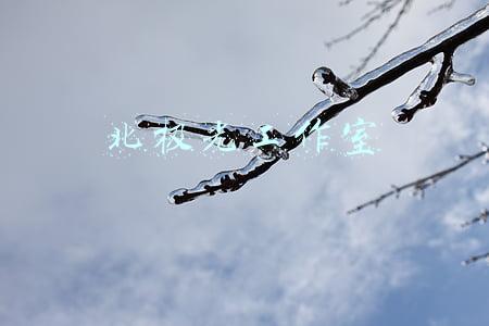 北极光工作室