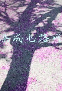 集成电路网