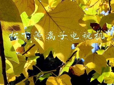 松下等离子电视机
