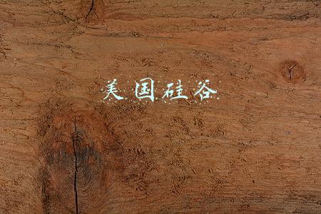 美国硅谷