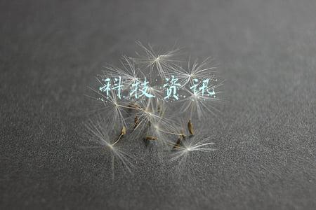 科技资讯