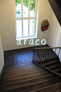 draco