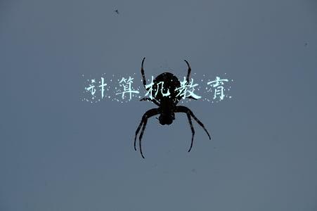 计算机教育