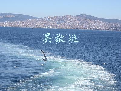 吴敬琏
