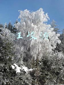 王峻涛