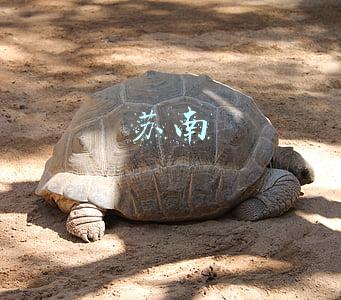苏南