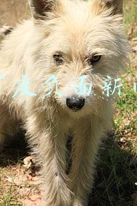 百度负面新闻