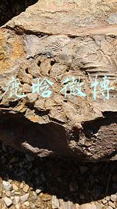 鹿晗微博