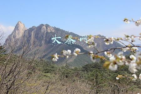 大秦网新闻西安新闻(西安一面馆关门老板要给会员退费反被拒绝 顾客：等你东山再起)