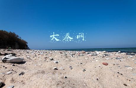 大秦网