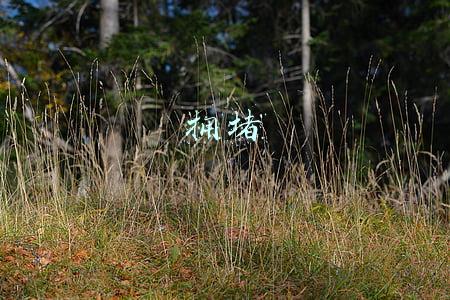拥堵