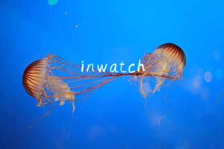 inwatch