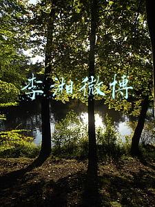 李湘微博