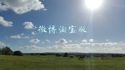微博淘宝版