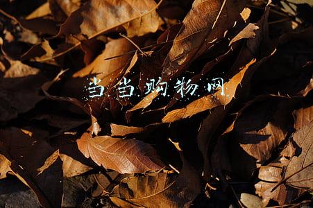当当网购物怎么样(昨日电视购物，今日露营滑雪…回回都上当，当当不一样｜不宜高调)